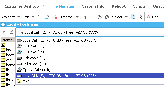 Logmein File Manager