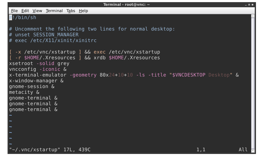 VNC Startup File