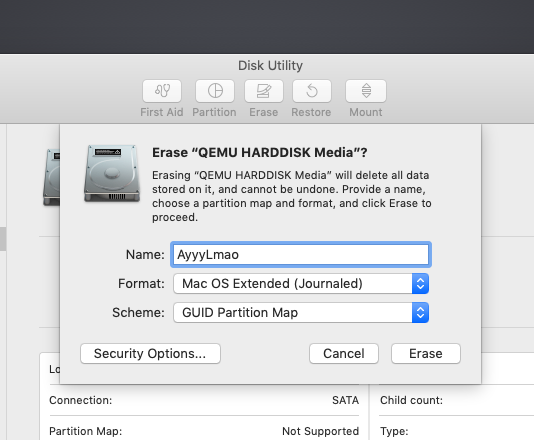 trying to restore usb drive for mac os get error could not restore resource busy