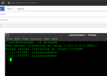 install mitm proxy linux easy