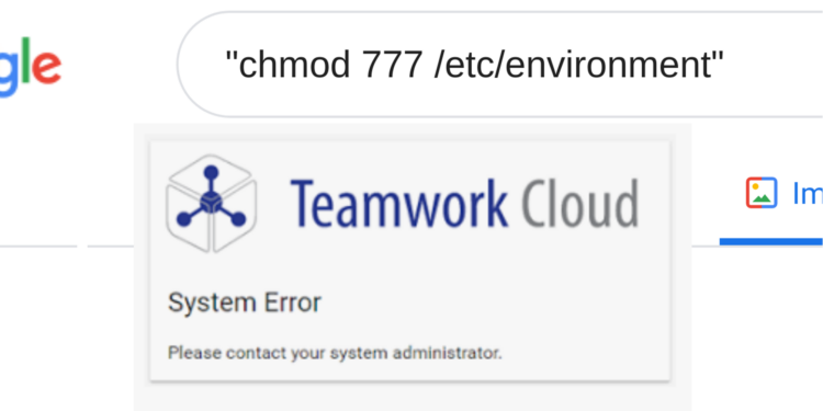TeamworkCloud Finding Vulnerabilities On Google