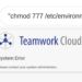 TeamworkCloud Finding Vulnerabilities On Google
