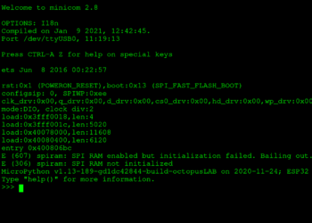 How to install micropython on esp32