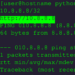 python stdlib "ipaddress" CVE-2021-29921